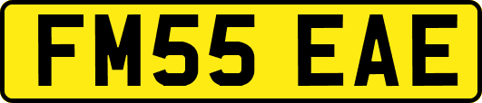 FM55EAE