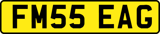 FM55EAG
