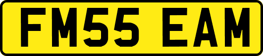 FM55EAM