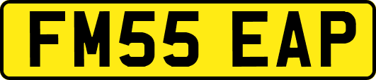 FM55EAP
