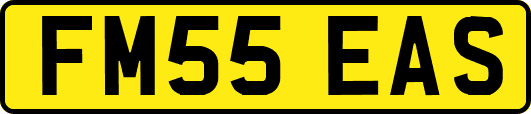 FM55EAS