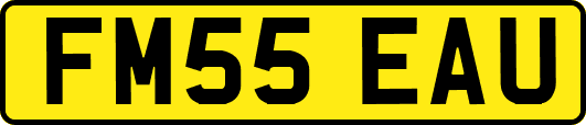 FM55EAU