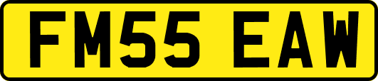 FM55EAW