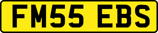 FM55EBS