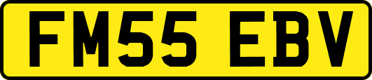 FM55EBV