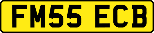 FM55ECB
