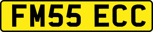 FM55ECC