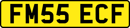 FM55ECF