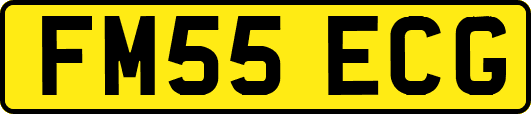 FM55ECG