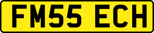 FM55ECH
