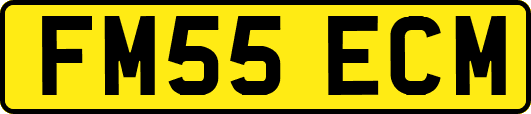 FM55ECM