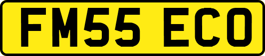 FM55ECO