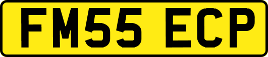 FM55ECP