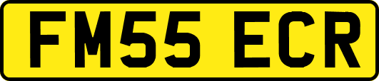FM55ECR