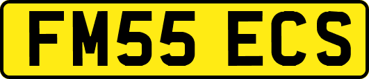 FM55ECS
