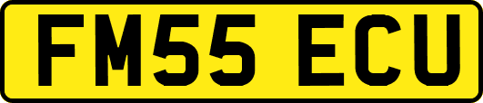 FM55ECU