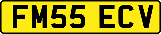 FM55ECV