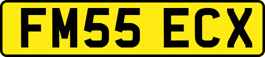 FM55ECX