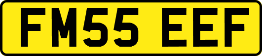 FM55EEF
