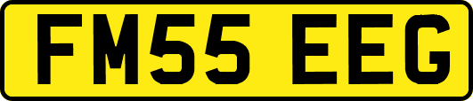 FM55EEG