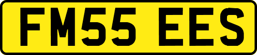 FM55EES