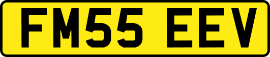 FM55EEV