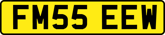 FM55EEW