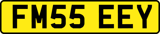 FM55EEY