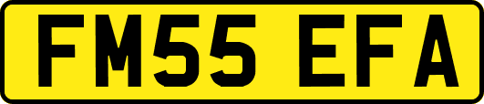 FM55EFA