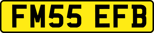 FM55EFB