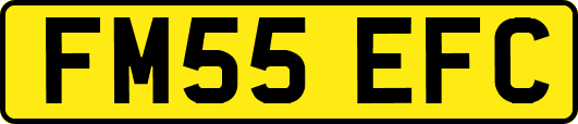 FM55EFC