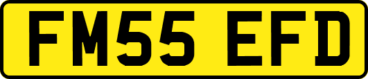 FM55EFD
