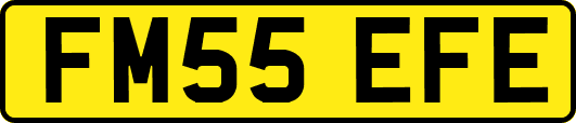 FM55EFE