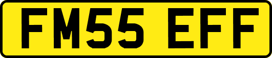 FM55EFF