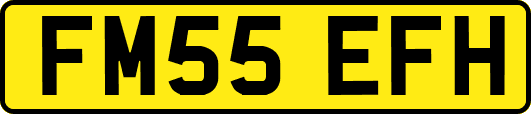 FM55EFH
