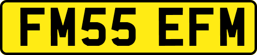 FM55EFM
