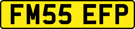 FM55EFP