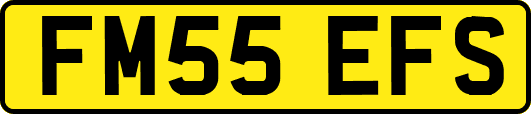 FM55EFS