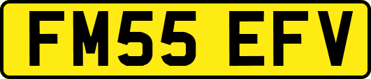 FM55EFV