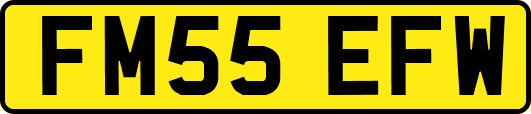 FM55EFW