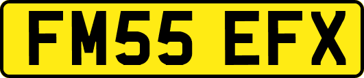 FM55EFX