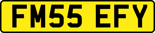 FM55EFY