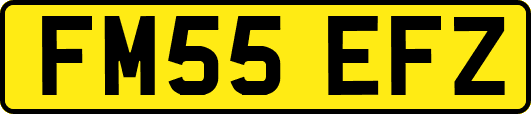 FM55EFZ