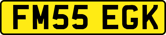 FM55EGK
