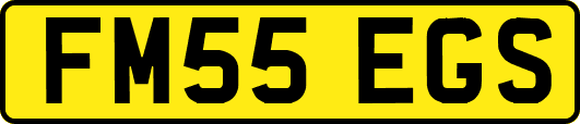 FM55EGS