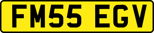 FM55EGV