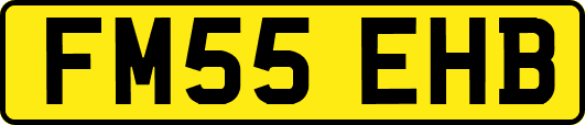 FM55EHB