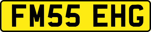FM55EHG