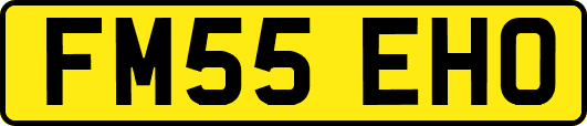 FM55EHO