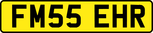 FM55EHR
